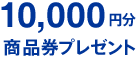 10,000�~�����i���v���[���g